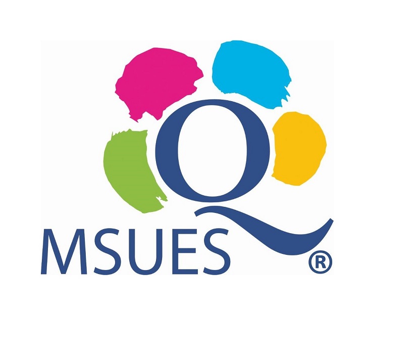 MSUES 2.0